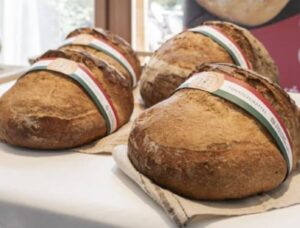 "Alföldi Pajta" (Great Plain Barn): Bread of the Year
